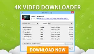 Video Downloader 4.24